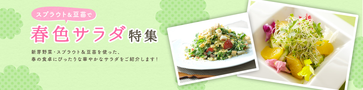 スプラウト&豆苗で春いろサラダ特集